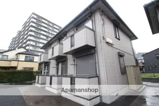 コリーヌ ヴェルトの画像