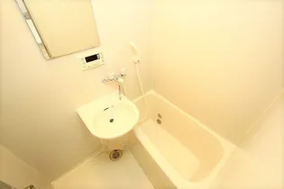 ウイロービレッジ【108号室】の風呂