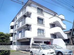 フォルトゥーナ朝霞の画像