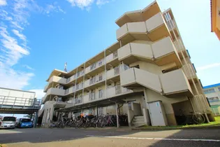 ペルテミノールの画像