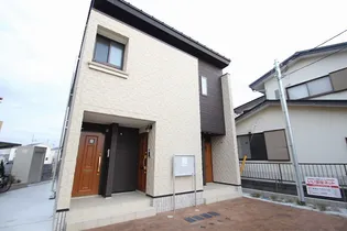 プラシードの画像