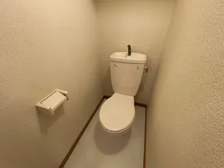 レオパレスグリーンハイツ2号館【202号室】のその他画像