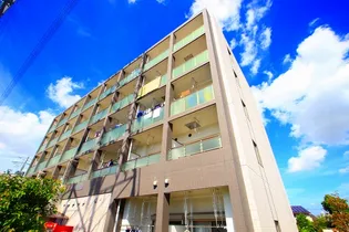 カンファー トゥリーの画像