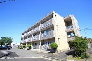 サンフローラルの画像