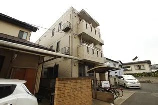 ヴェリタ サクラーレの画像