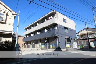 シリウステラスの画像