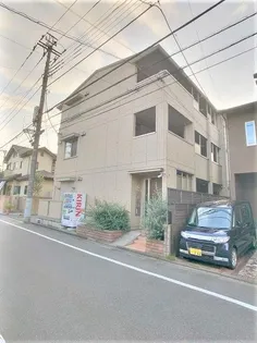 ヴェリタ サクラーレの画像