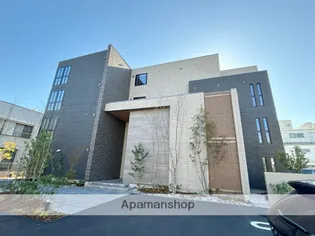 アムール アドニスの画像