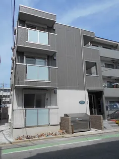 ELVITAの画像