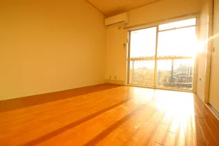 キャッスルメジェール鶴瀬【401号室】の居間