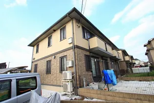 アネシスの画像