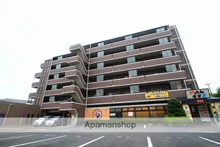 アンジェリークの画像