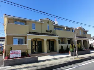 サニーセトナの画像