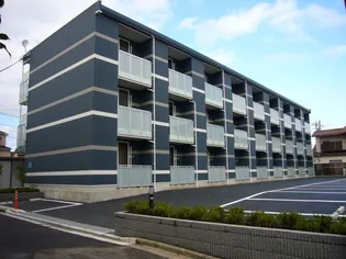 レオネクストシャンエトワールの画像