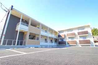 ブロッサムの画像