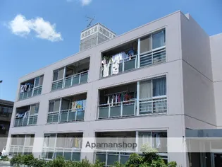 ファーストステージの画像