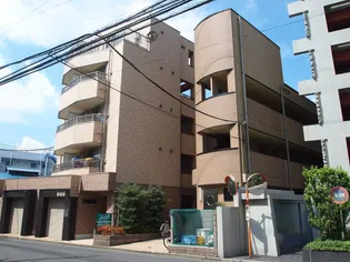 JC SOUTH SHIKIの画像