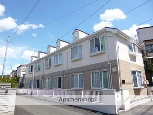 ステラ17の画像