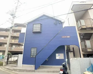 アマリリスの画像