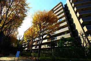 コスモふじみ野サウスフォーラムの画像