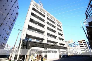 ゴールドクレストの画像