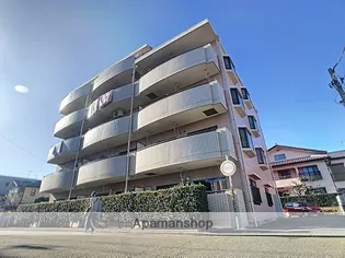 ペルデュールミキの画像