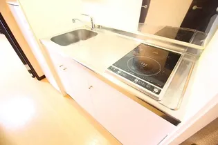 レオネクストエルヴィータⅡ【1階】の居間