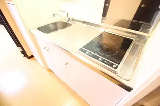 レオネクストエルヴィータⅡ【1階】のキッチン