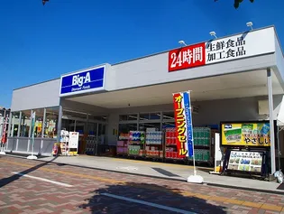 レオネクストエルヴィータⅡ【1階】の周辺