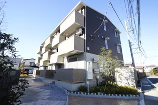 コスモスAの画像