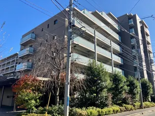 シャリエ朝霞の画像