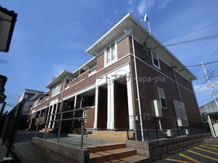 プリムローズの画像