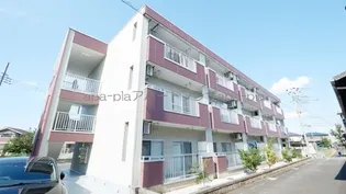 ニューシャトー【2階】の外観