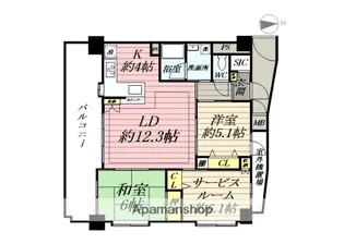 グリーンミユキ本川越【10階】の間取り