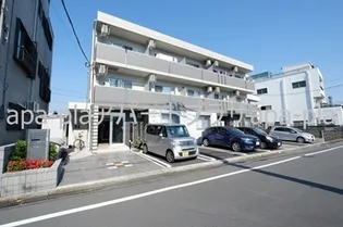 ヴィオラの画像