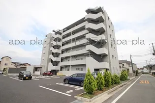 ルネス セードルの画像