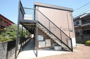 アムール初雁の画像