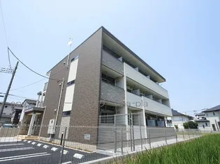 ブルーム ヒル タイチの画像