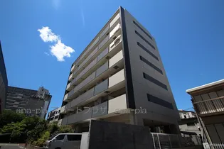 クレベールの画像