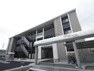 カモミーユの画像