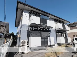 オリーブライトの画像