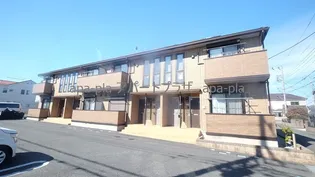 ラ ゼルコバの画像