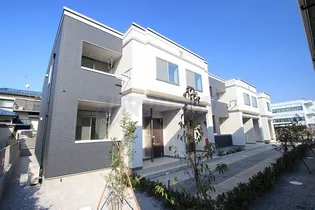 ジュエルウィードの画像