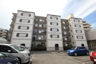 埼玉県鶴ヶ島市大字鶴ヶ丘【マンション】の外観