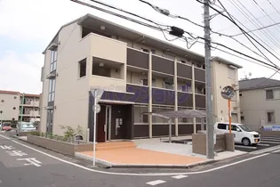 スイート ラディアンスの画像