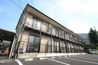 アムールサンコーの画像