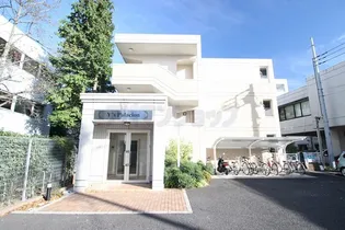 ワイズ パラシオン【1階】の外観