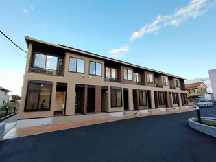 スプリング サニーの画像