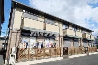 ハイカムール シアンの画像