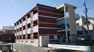 レオネクストミモザの画像